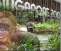 Animal Kingdom/Zoos in Singapore